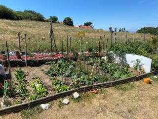 maison avec jardin à 5 minutes de la plage - 6