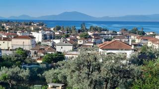 View House - Agria - 1