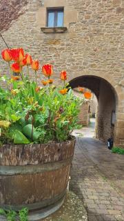Casa Rural Arco Navarra - Artariáin - 2