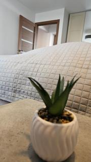 CITY STAY 2-bedroom apartment - Šiauliai - 4