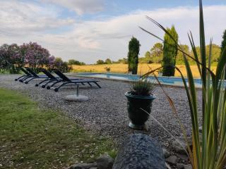 L'olive - Boisset-et-Gaujac - 4