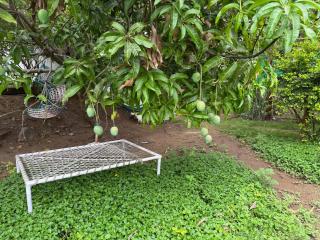 The Savoy Farmstay - Dharmapuri - 9