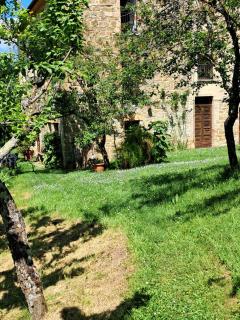 La Fonte b&b - Pietralunga - 9