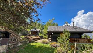 Nendaz chalet with view-Peaceful escape - 4
