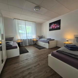 Budget Base Apartment - Braunschweig - 7