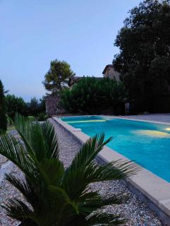 L'olive - Boisset-et-Gaujac - 1