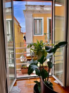 Paz 38 by NOOK - Lissabon - 6
