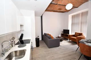 Beautiful 2 Bed Manchester Apartment Near Etihad - 4