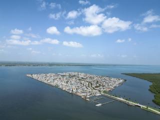 Nettles Island 0057 - Jensen Beach - 5