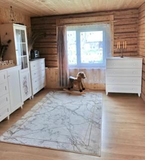 Modest Cottage with Sauna - Võrumõisa - 8