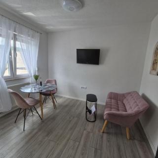 Vila Natasa Apartment 4 near Plitvice - Vrhovine - 5