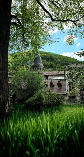 Château Louis XI en Beaujolais - Beaujeu - 8