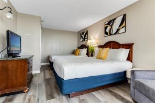 17th Floor 1Br Oceanfront, Dogs OK! 1706 - Myrtle Beach - 4