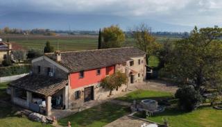 CASALE ANTONELLA - 8