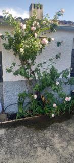 El Mesón de Higuera de la Sierra - 4