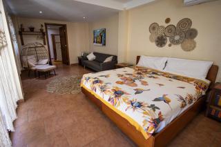 Seahouse Beachfront B&B with Pool - Bocas del Toro - 7