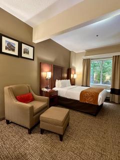 Comfort Suites Raleigh Walnut Creek - Raleigh - 9
