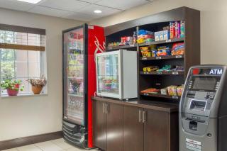 Best Western Plus Berkshire Hills Inn & Suites - Pittsfield - 5