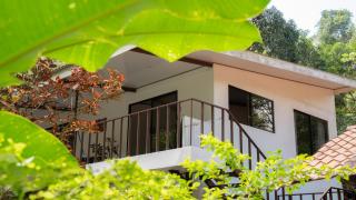 Stella's Santa Teresa - Mal País - 8