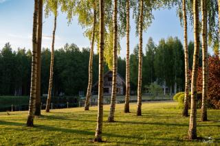 Amoliņi - Mērsrags - 2
