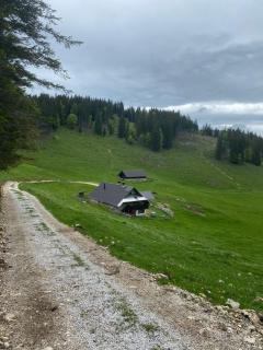 Koča na Kranjski dolini Pokljuka - Zgornje Gorje - 1