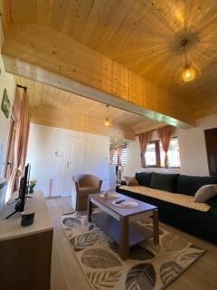Studio apartman Andrea - - 8