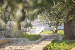Tenuta Olive Alive - Noto - 7