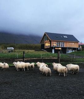 Comfort, Great view, contact with the nature - Akureyri - 0