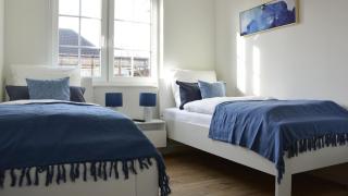 Kegelrobbe D1 - Tossens - Tossens - 2