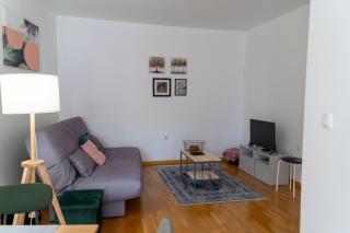 Apartman Kosta Novi Sad - Novi Sad - 6