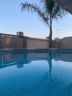 The Sunflower - Lecce - 1