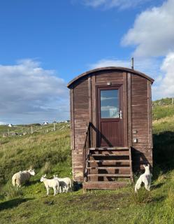 Eco Crofter's Wagon by the Sea - Off Grid Experience - No electricity - As seen soon on Netflix - Oldshoremore - 8