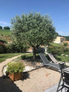Maison agréable à Saliès avec jardin de 70 m²_2 - Saliès - 4