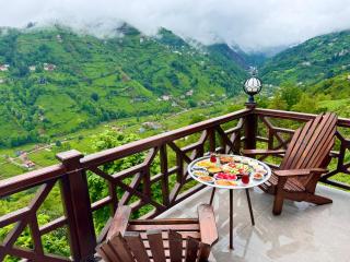 Hayatburda bungalov - Rize - 8