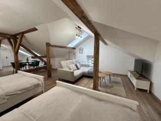 Vila Fráňa apartmán 1 - České Budějovice - 1