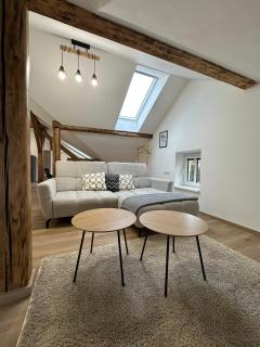 Vila Fráňa apartmán 1 - České Budějovice - 2