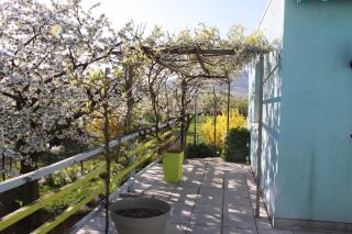 Appartement au pied du Haut Koenigsbourg - Sélestat - 5