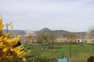 Appartement au pied du Haut Koenigsbourg - Sélestat - 9