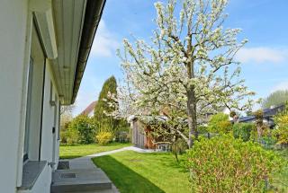 Ferienhaus mit Sauna u Terrasse im Zentrum von Rügen - Thesenvitz - 8