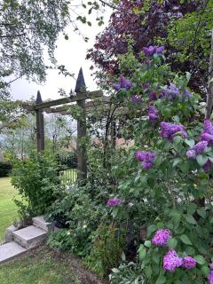 The Loft at Rowantree Cottage - Dromara - 6
