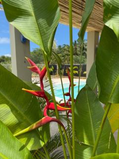 Kaia Beach Lodge - Las Terrenas - 0