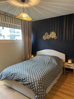 Coloc Chambre privée meublée dans un appartement lumineux et spacieux, Hyper centrale - Annemasse - 0
