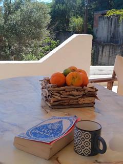 Athina Studio Apartments - Kerveli - 2