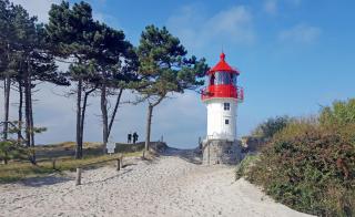 schöne Ferienwohnungen im Zentrum von Rügen - Thesenvitz - 1