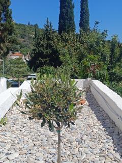 Athina Studio Apartments - Kerveli - 7