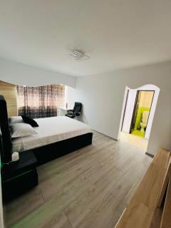 Apartament Tudorache Premium 1 - Turceni - 4