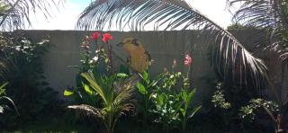 Camping e Pousada Coral do Meio - 1