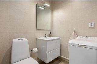 Newly renovated basement apartment in central Årdal - Lii - 3