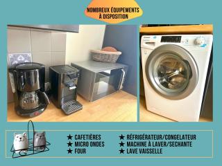Appartement top emplacement cœur de ville, Proche parking et vignobles, Animaux bienvenus, Wifi, Linge fourni - Barr - 5