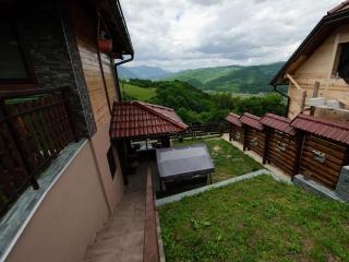 Apartman Sofiana - Bajina Bašta - 2